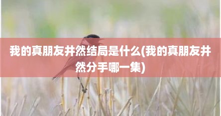 我的真朋友井然结局是什么(我的真朋友井然分手哪一集)