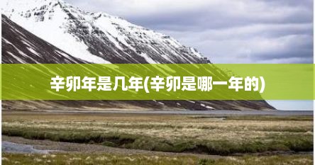 辛卯年是几年(辛卯是哪一年的)
