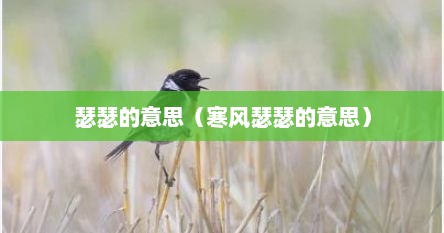瑟瑟的意思（寒风瑟瑟的意思）