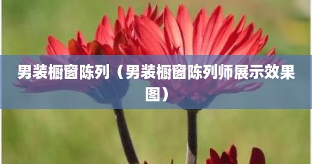 男装橱窗陈列（男装橱窗陈列师展示效果图）