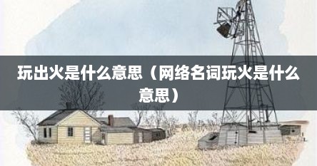 玩出火是什么意思(网络名词玩火是什么意思)