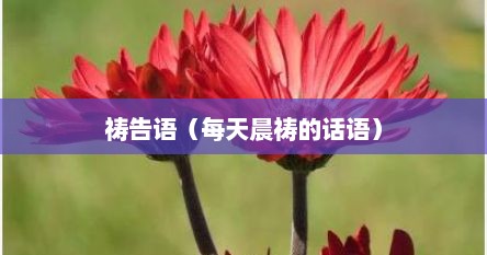 祷告语（每天晨祷的话语）