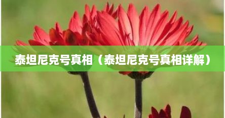 泰坦尼克号真相（泰坦尼克号真相详解）