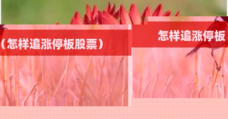 怎样追涨停板（怎样追涨停板股票）
