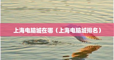 上海电脑城在哪（上海电脑城排名）