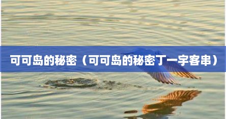 可可岛的秘密（可可岛的秘密丁一宇客串）
