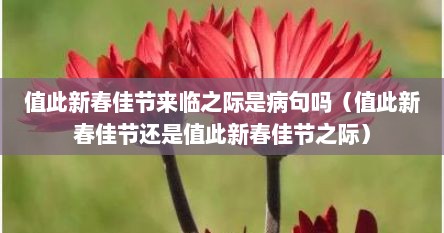 值此新春佳节来临之际是病句吗（值此新春佳节还是值此新春佳节之际）