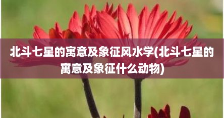 北斗七星的寓意及象征风水学(北斗七星的寓意及象征什么动物)