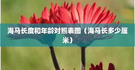 海马长度和年龄对照表图（海马长多少厘米）
