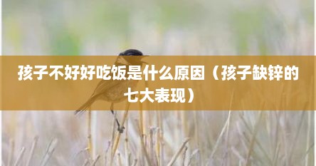 孩子不好好吃饭是什么原因（孩子缺锌的七大表现）