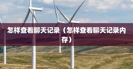 怎样查看聊天记录（怎样查看聊天记录内存）