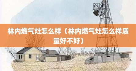 林内燃气灶怎么样（林内燃气灶怎么样质量好不好）
