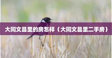 大同文昌里的房怎样（大同文昌里二手房）