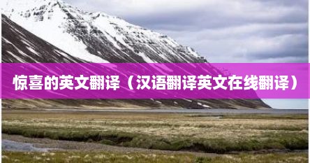 惊喜的英文翻译（汉语翻译英文在线翻译）