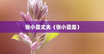 张小斐丈夫（张小斐是）