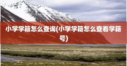 小学学籍怎么查询(小学学籍怎么查看学籍号)