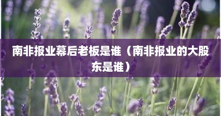 南非报业幕后老板是谁（南非报业的大股东是谁）