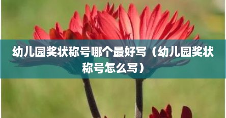 幼儿园奖状称号哪个最好写（幼儿园奖状称号怎么写）