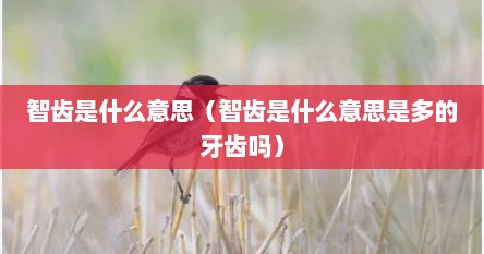 智齿是什么意思（智齿是什么意思是多的牙齿吗）