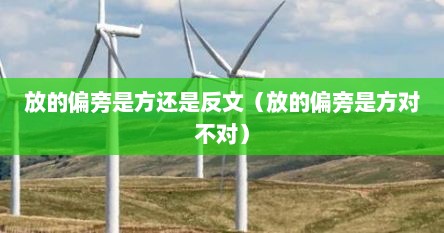 放的偏旁是方还是反文（放的偏旁是方对不对）