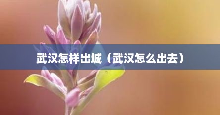 武汉怎样出城（武汉怎么出去）