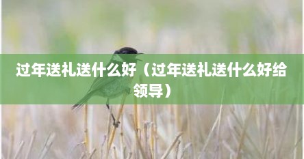 过年送礼送什么好（过年送礼送什么好给领导）