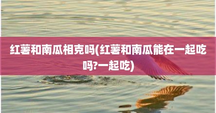 红薯和南瓜相克吗(红薯和南瓜能在一起吃吗?一起吃)