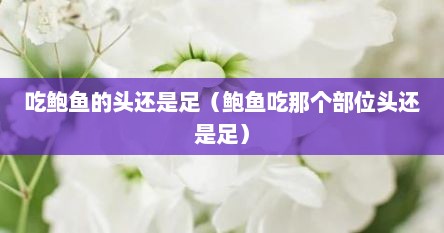 吃鲍鱼的头还是足（鲍鱼吃那个部位头还是足）