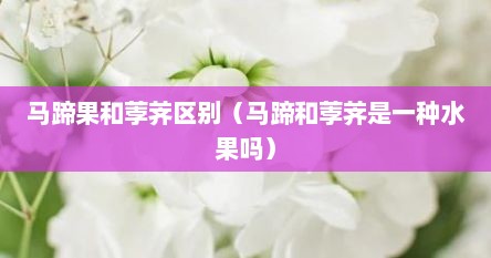 马蹄果和荸荠区别（马蹄和荸荠是一种水果吗）