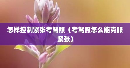 怎样控制紧张考驾照（考驾照怎么能克服紧张）