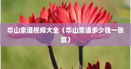 华山索道视频大全（华山索道多少钱一张票）
