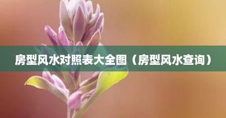 房型风水对照表大全图（房型风水查询）