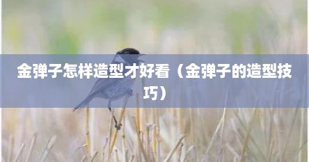 金弹子怎样造型才好看（金弹子的造型技巧）