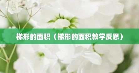 梯形的面积(梯形的面积教学反思)