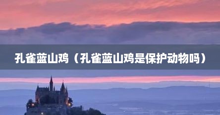 孔雀蓝山鸡公母区别（蓝孔雀山鸡图片）