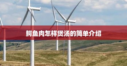 鳄鱼肉怎样煲汤的简单介绍