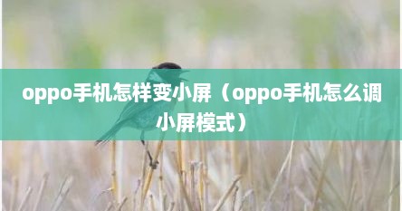 oppo手机怎样变小屏（oppo手机怎么调小屏模式）