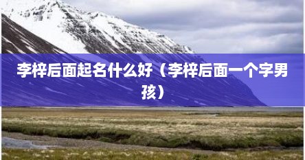 李梓后面起名什么好（李梓后面一个字男孩）