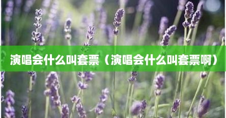 演唱会什么叫套票（演唱会什么叫套票啊）
