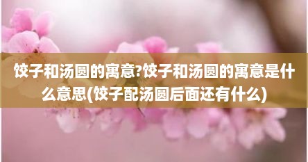 饺子和汤圆的寓意?饺子和汤圆的寓意是什么意思(饺子配汤圆后面还有什么)