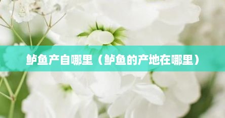 鲈鱼产自哪里（鲈鱼的产地在哪里）