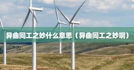 异曲同工之妙什么意思（异曲同工之妙啊）