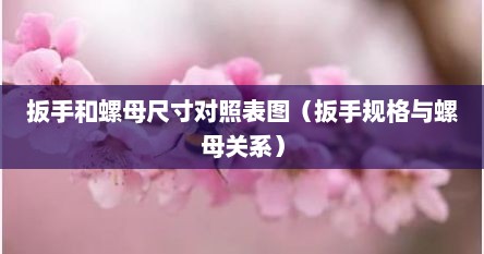 螺母螺栓与扳手尺寸图片（螺母和扳手规格型号对照表）