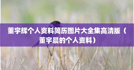 董宇辉个人资料简历图片大全集高清版（董宇晨的个人资料）