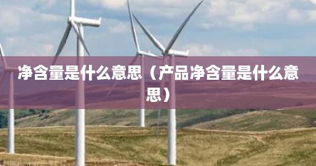 净含量是什么意思（产品净含量是什么意思）