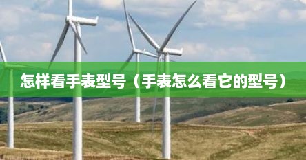 怎样看手表型号（手表怎么看它的型号）