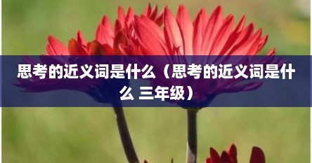 思考的近义词是什么（思考的近义词是什么 三年级）