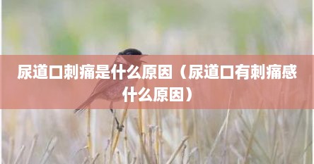 尿道口刺痛是什么原因（尿道口有刺痛感什么原因）