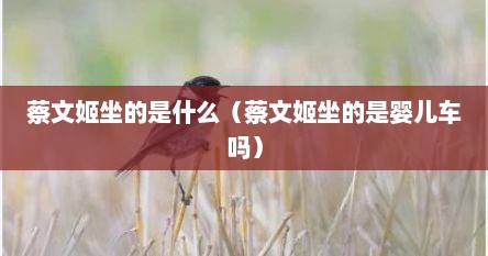 蔡文姬坐的是什么（蔡文姬坐的是婴儿车吗）