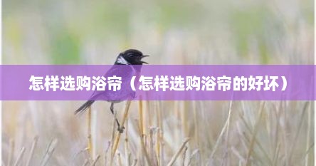 怎样选购浴帘（怎样选购浴帘的好坏）